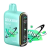 Geek Bar Pulse Vape Black Mintz