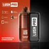 Lush Pro Watermelon Bubblegum